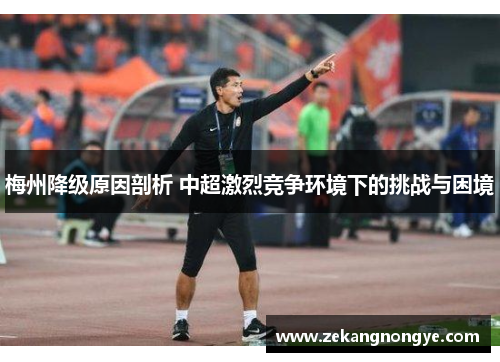 梅州降级原因剖析 中超激烈竞争环境下的挑战与困境