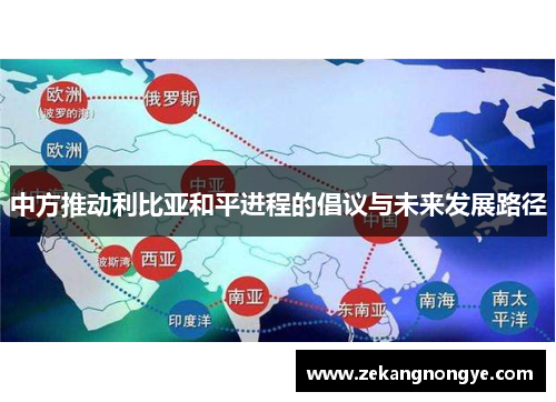 中方推动利比亚和平进程的倡议与未来发展路径