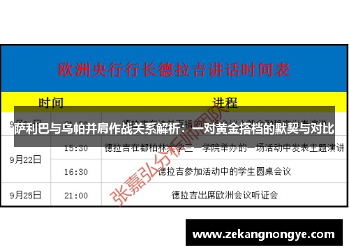 萨利巴与乌帕并肩作战关系解析:一对黄金搭档的默契与对比 萨利巴与乌帕并肩作战关系解析:一对黄金搭档的默契与对比